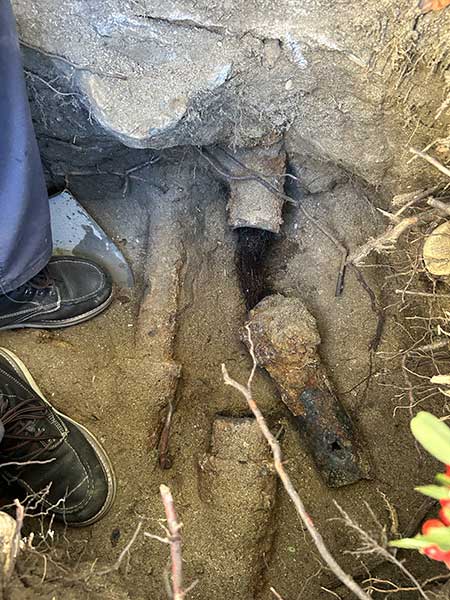 Sewer Ingrown Roots Removal Services Sewer Ingrown Roots Removal Services